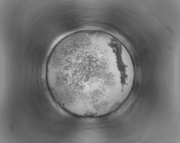 X0000113570862200910161516