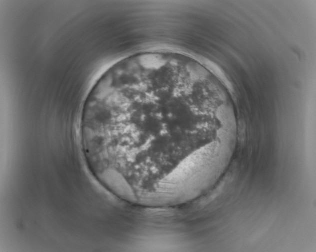 X0000113570863200910161516