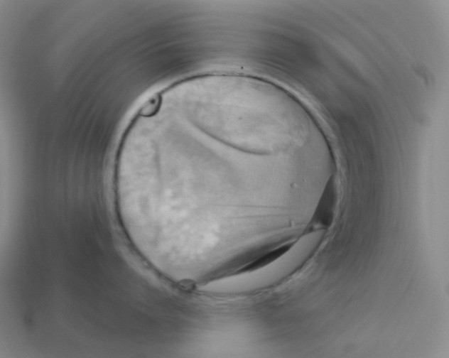 X0000113570864200910161516