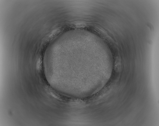 X0000113570866200910161516