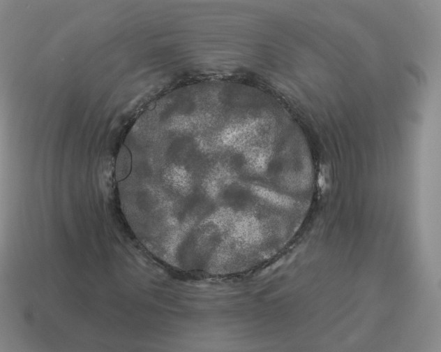 X0000113570867200910161516