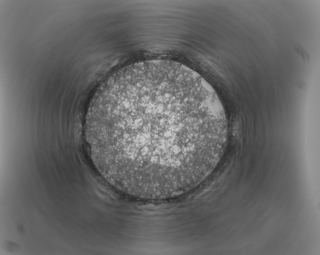 X0000113570868200910161516