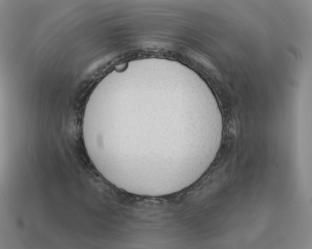 X0000113570869200910161516