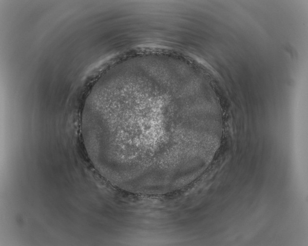 X0000113570870200910161516