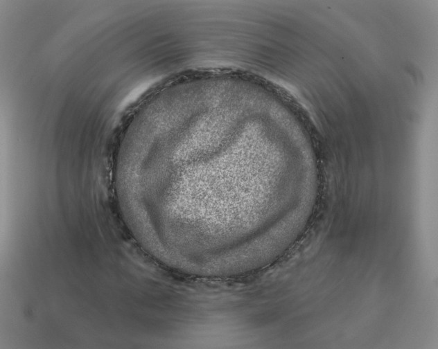 X0000113570871200910161516