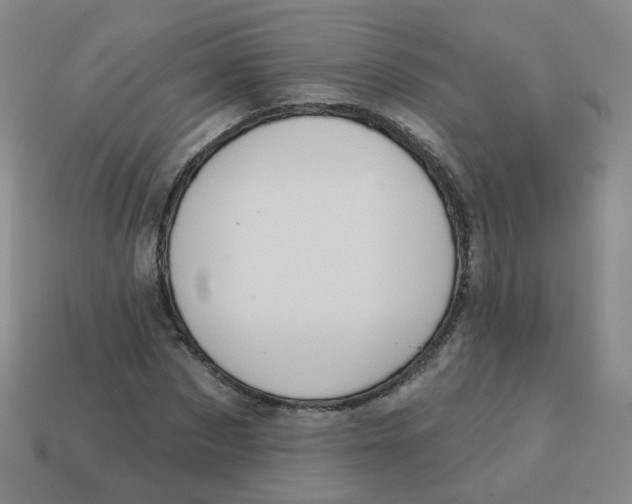 X0000113570873200910161516