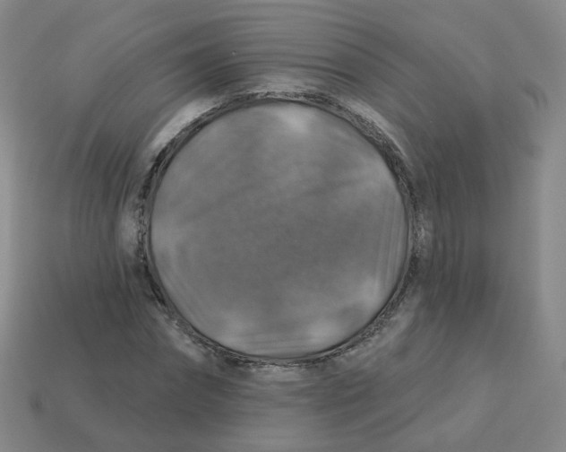 X0000113570874200910161516