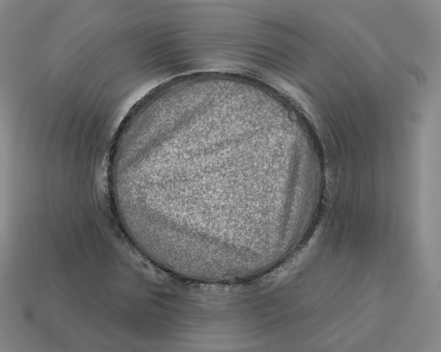 X0000113570875200910161516