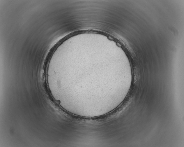 X0000113570876200910161516