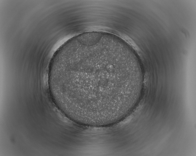 X0000113570877200910161516