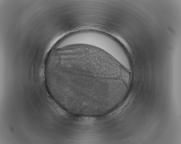 X0000113570878200910161516