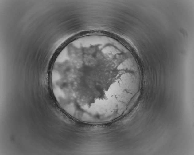 X0000113570879200910161516