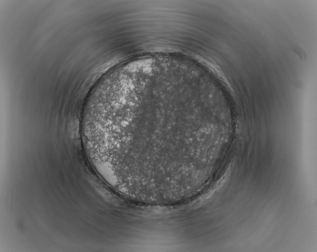 X0000113570881200910161516