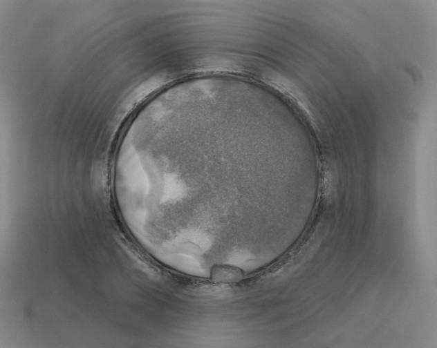 X0000113570882200910161516