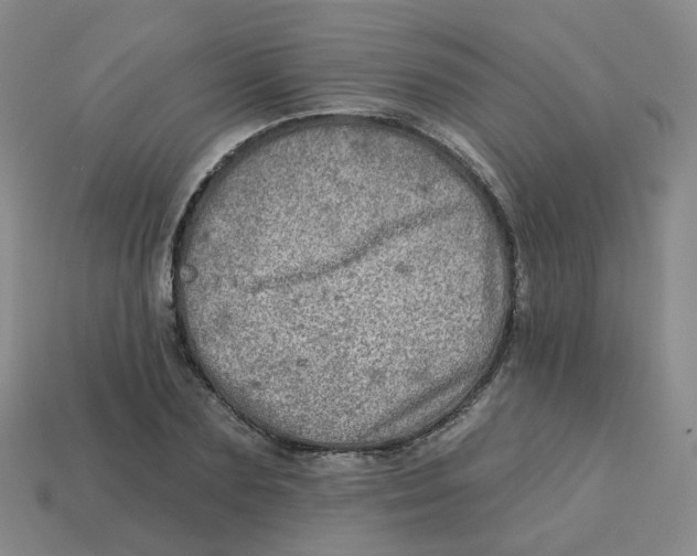 X0000113570883200910161516