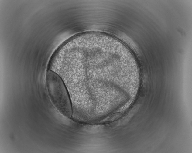 X0000113570884200910161516