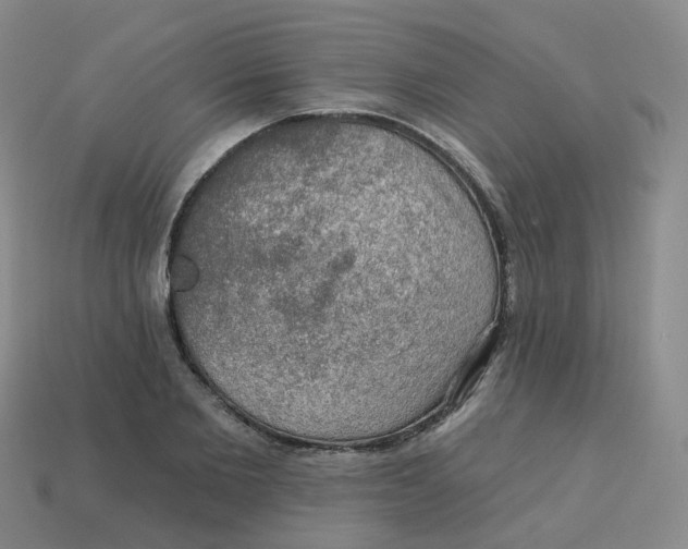 X0000113570885200910161516