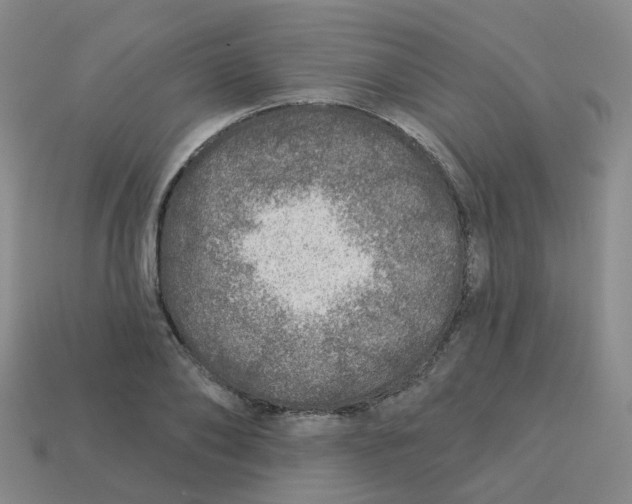 X0000113570886200910161516