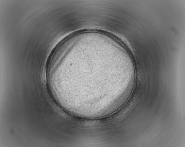 X0000113570887200910161516