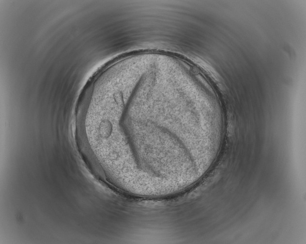 X0000113570888200910161516