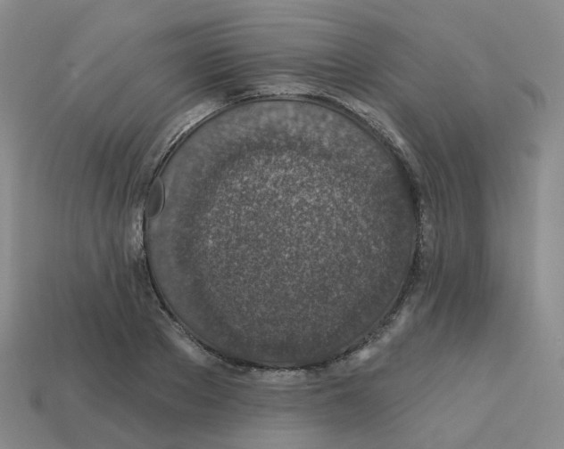 X0000113570889200910161516