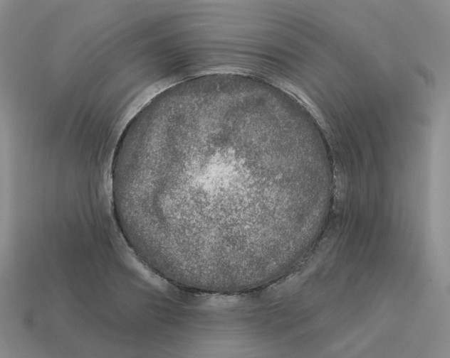 X0000113570890200910161516