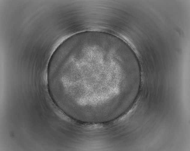 X0000113570891200910161516