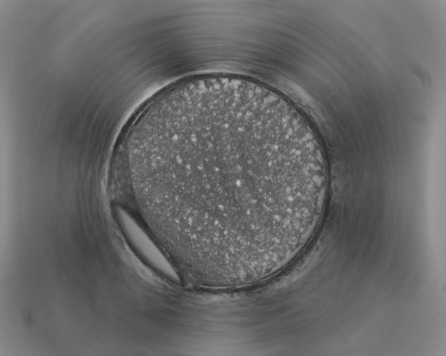 X0000113570892200910161516