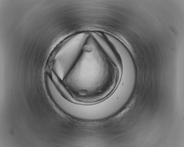 X0000113570893200910161516