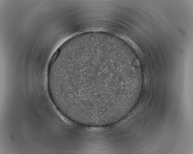 X0000113570894200910161516