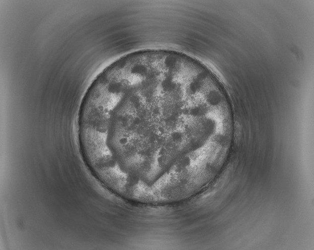 X0000113570895200910161515