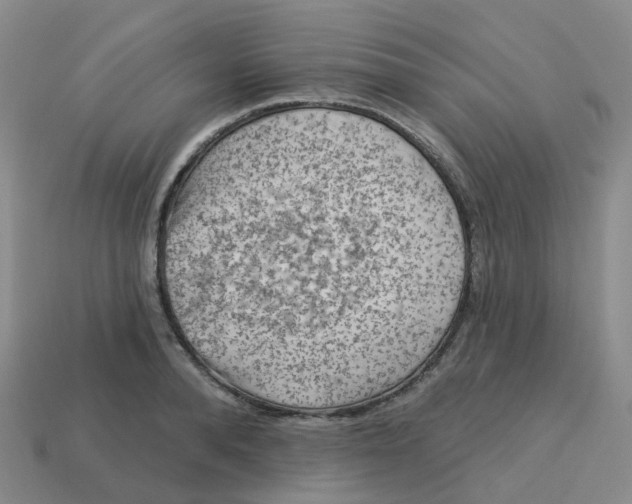 X0000113570896200910161515