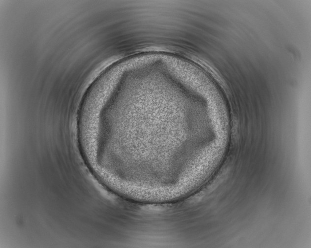 X0000113570898200910161515