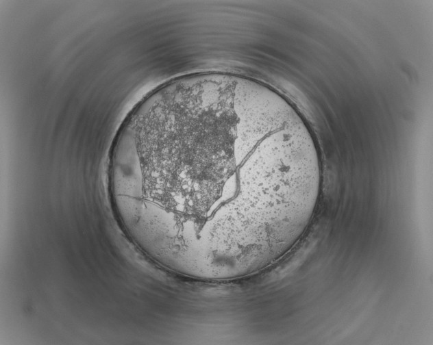 X0000113570899200910161515