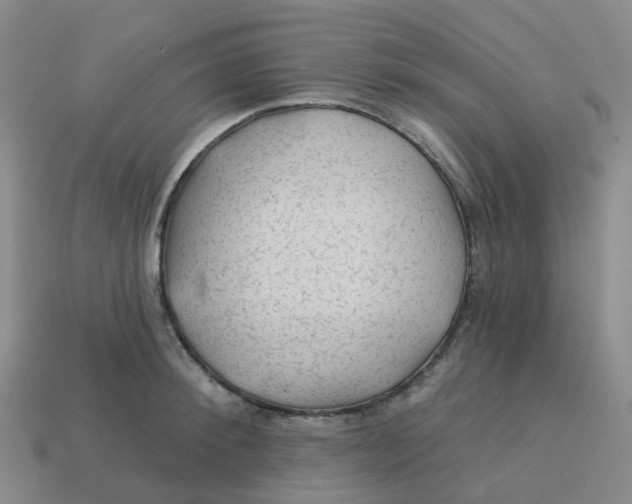 X0000113570900200910161515