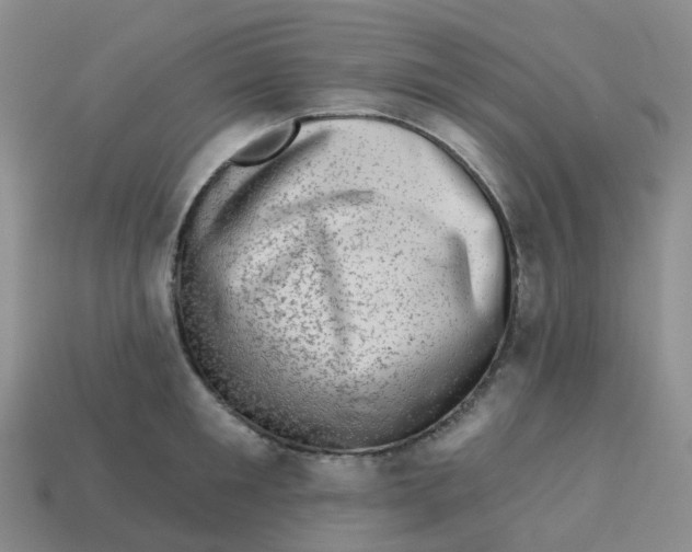 X0000113570901200910161515