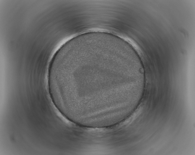 X0000113570902200910161515