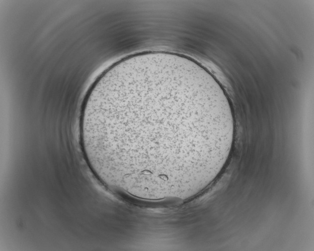 X0000113570904200910161515