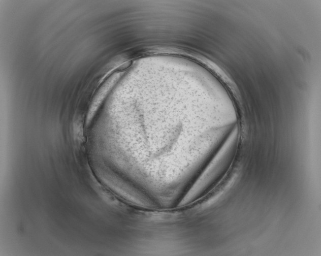 X0000113570905200910161515