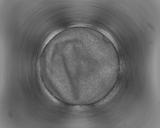 X0000113570906200910161515