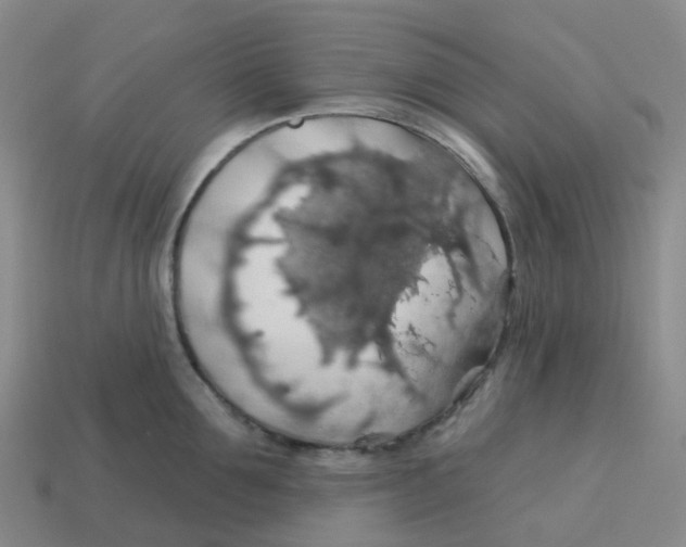 X0000113570907200910161515