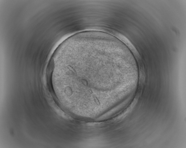 X0000113570908200910161515