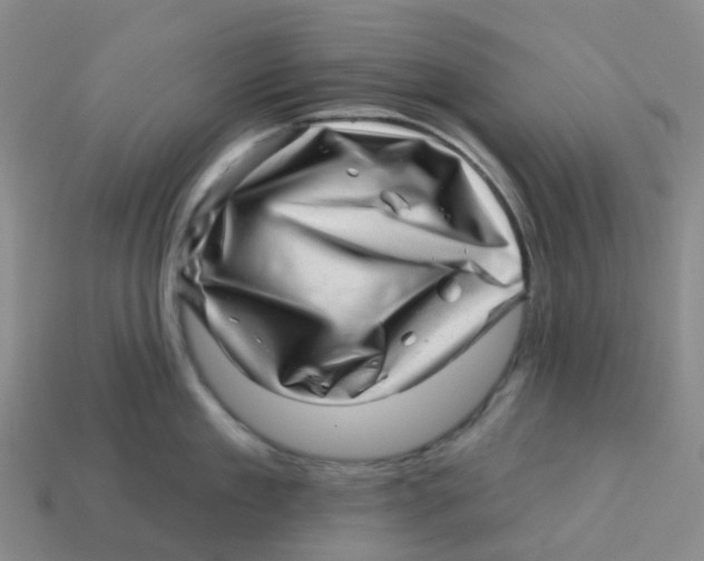 X0000113570909200910161515