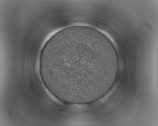 X0000113570910200910161515