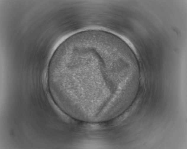 X0000113570911200910161515