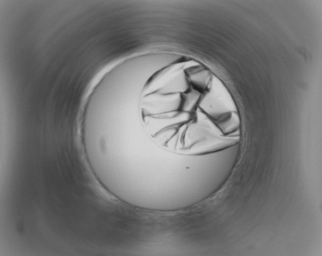 X0000113570912200910161515