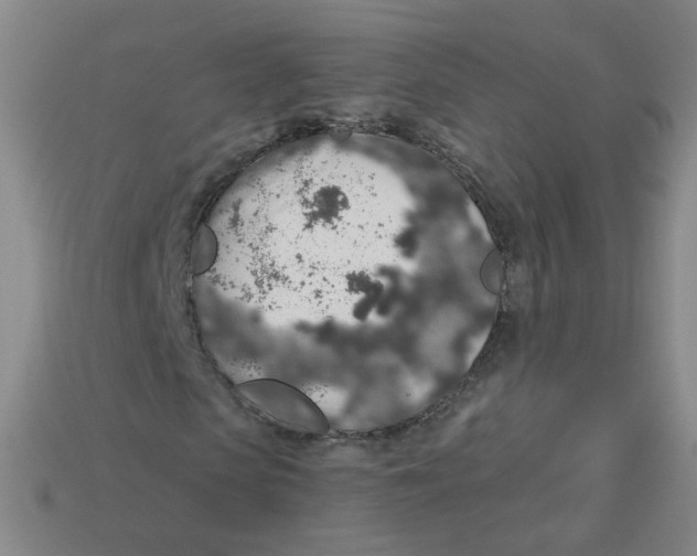 X0000113570913200910161515