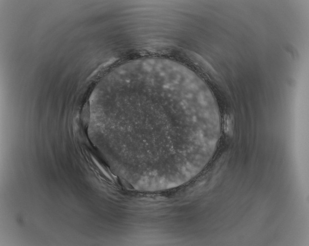 X0000113570915200910161515