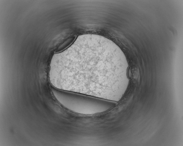 X0000113570916200910161515