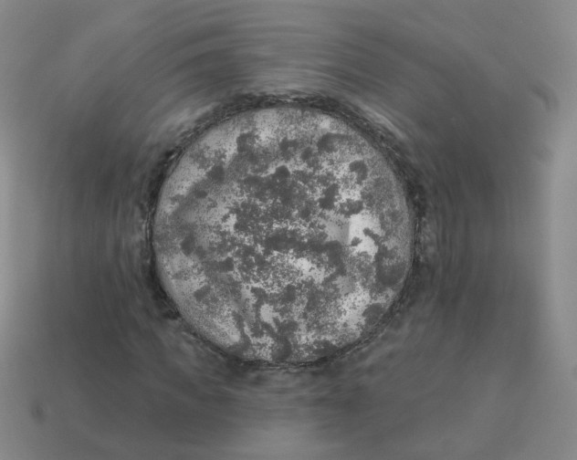 X0000113570917200910161515